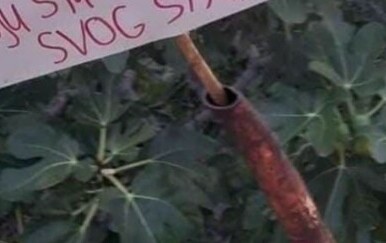 Dalmatinac je svojim natpisom u vrtu postao internetski hit! Pogledajte što je napisao