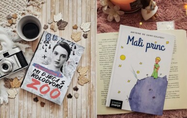 Knjige koje su klasici, ali nisu dosadne: 7 naslova koje SVI trebaju pročitati