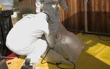 Australija potvrdila prvo masovno uginuće morskih ptica od ptičje gripe H5N1