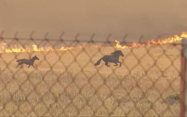 U Grčkoj bjesne požari koji uništavaju kuće, a u sudaru helikoptera poginule su dvije osobe