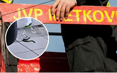Poskok joj u puzao u kuhinju dok je bila sama s bebom i djetetom: "Zvala sam 112, a vatrogasci su me odbrusili. Na kraju ga je prijatelj morao ubiti!"