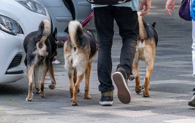 Šest poslova koje možete pokrenuti od kuće uz minimalna ulaganja