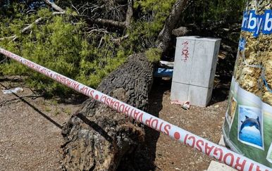 Stablo se srušilo na kupače u Crikvenici: Više ozlijeđenih