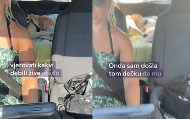 Iskustvo s pseće plaže podijelilo gledatelje, kako biste vi postupili?