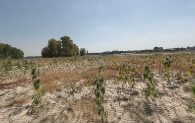 Rekordno nizak Dunav kod Vukovara: Pješčani nanosi spojili adu s drugom obalom, grad traži reakciju