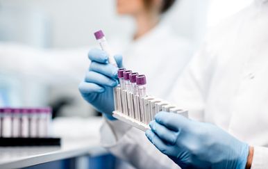 Virus Zapadnog Nila pronađen u komarcu u Beogradu