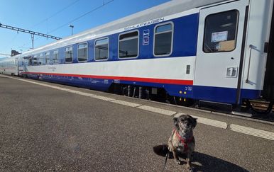 Noćnim vlakom sa psom u Švicarsku: Savjeti iz prve ruke na što sve trebate paziti