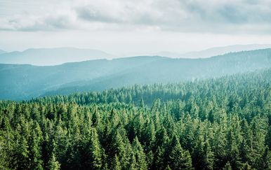 Tri odlična izleta i wellness bijega u Sloveniji za manje od 300 eura