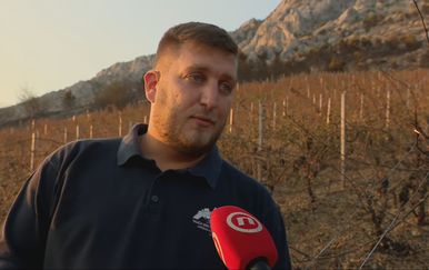 Požar uništio trud vinara Marka Mimice i ovogodišnju berbu