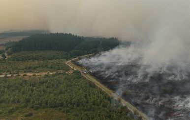 Šumski požar u Belgiji zahvatio 3000 hektara, stanovnici evakuirani