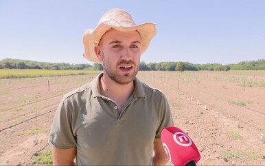 Prizor koji se ne viđa svaki dan: Masline odlučio posaditi u Podravini, a nada se i proizvodnji maslinova ulja