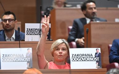 Pljuštale optužbe zbog kriminala, ali i širenja panike - završena maratonska sjednica Sabora