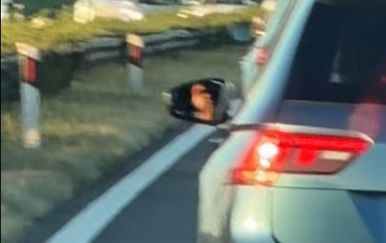 VIDEO Kamera uhvatila vozača na A1: Zbog ovoga posljedice su mogle biti katastrofalne