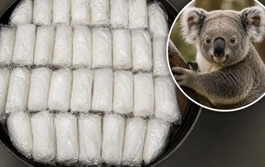 Što znači koala na paketima kokaina? Iza neobične oznake krije se važna poruka