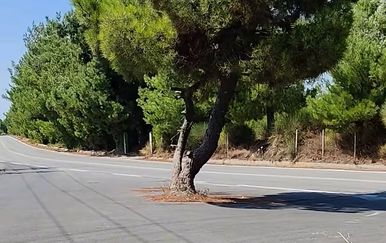 "Projektant je car!": Prizor s Balkana obišao svijet, jeste li kad vidjeli takvo što?