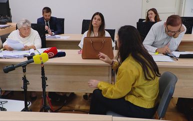 Svjedočila ključna svjedokinja u aferi po babi i stričevima