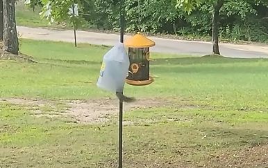 Pokušali zaštititi hranilicu za ptice, što kažete na ovaj izum?