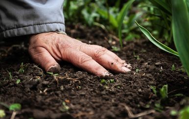 Budućnost našeg planeta ne ovisi o riznici na Svalbardu, već o skrivenom blagu u tlu pod našim nogama