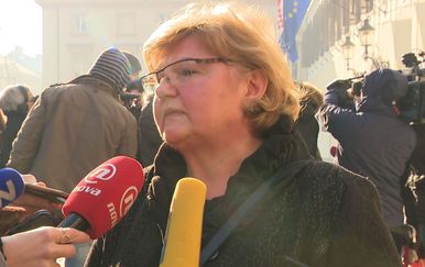 Ministrica za demografiju Nada Murganić (Foto: Dnevnik.hr)