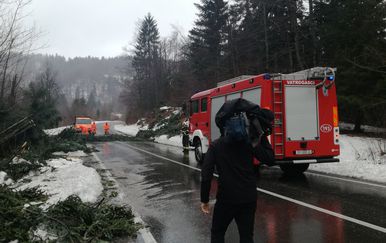 Srušena stabla u Gorskom kotaru (Foto: Marko Balen)