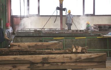 Okruženi šumom, a nemaju sirovinu (Foto: Dnevnik.hr) - 2