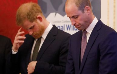 Princ Harry i William (Foto: AFP)