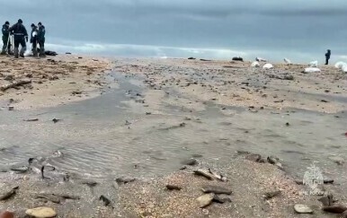 Čišćenje plaža u južnoj ruskoj regiji Krasnodar