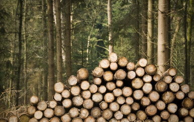 Poginule su stotine: Otkriveno što je ubrzalo velike poplave u Indoneziji