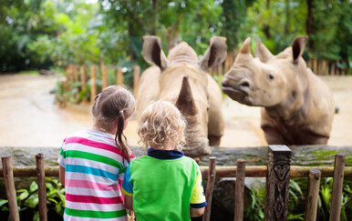 Kako se piše: zološki ili zoološki
