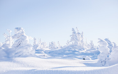 Kako se piše: bijelji ili bjelji