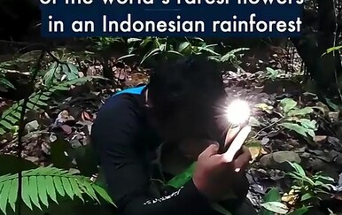 Biolog plače u emotivnom videu nakon što je pronašao najrjeđi cvijet na svijetu