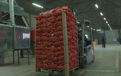 Luk i krumpir u Hrvatskoj dobro urodili ove godine