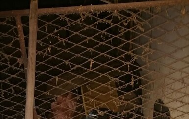 Otkrivena nedozvoljena trgovina duhanom u Oroliku, državni proračun oštećen