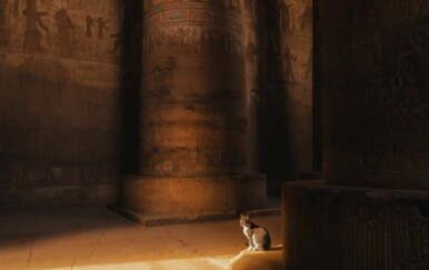 Životinja je postala pratilja 2000 godina povijesti i vrhunac posjeta poznatom hramu