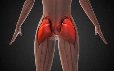 Ne ignorirajte svoj gluteus: Oblik stražnjice može vas upozoriti na ozbiljne probleme!