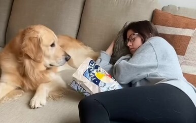 Kako je lukav! Vlasnica pokušala podvaliti psu, no na kraju ju je uspio nadmudriti