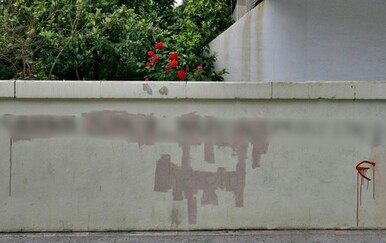 Dalmatinski buntovnik bez razloga! Pogledajte urnebesan grafit