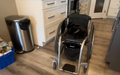 Što to izvodi?! Vlasnica nije sigurna je li njena mačka zlobna ili samo nestašna