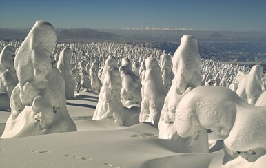 Planinski "začuđeni svatovi": Jeste li čuli za snježna čudovišta?