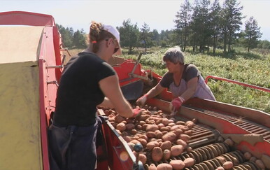 Hrvatski povrćari najavljuju izlazak na ulice