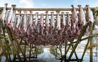 "Riba sa sjevera" koja je osvojila Europu: Slasni recepti s bakalarom za blagdansku inspiraciju