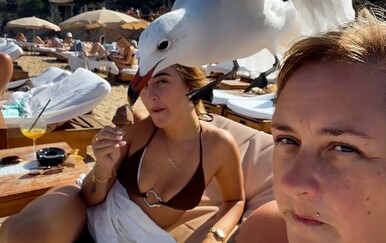 Pamet im nije jača strana, a kamera zabilježila njihove budalaština