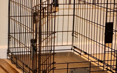 Žena mjesecima zlostavljala supruga: Držala ga u psećem kavezu, tukla ga i uskraćivala mu hranu