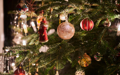 Tražite neku alternativu za bor? 5 drugačijih ″božićnih drvaca″