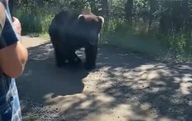 Doživjeli bliske susrete s divljim životinjama, neki su imali više sreće nego pameti