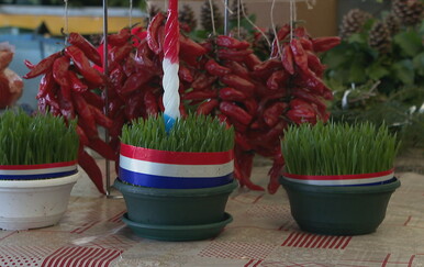 Blagdan je svete Lucije: Ljudi ili sade svoju božićnu pšenicu ili kupuju gotovu