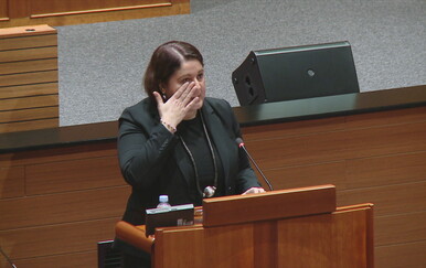 SDP-ovka zaplakala u Saboru tijekom govora o posljednjem femicidu: "Takav čovjek ne može okolo šetati s pištoljem..."