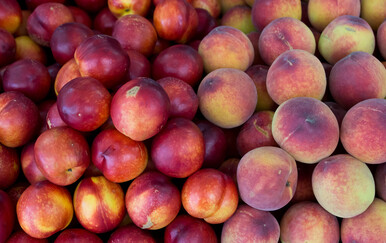 Nektarine, ilustracija