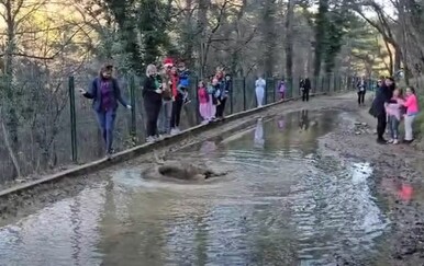 Školarci iz Rijeke doživjeli nezaboravan susret, snimka raznježila gledatelje
