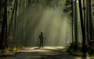 Oglašena uzbuna: Ove "drevne, jedinstvene i čarobne" životinje nestale su zbog - fotografija?